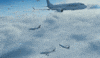 City In The Sky Aviation GIF by PBS