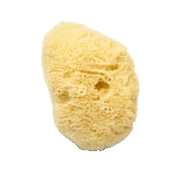 Skincare Skin Sticker by Lace Beauty