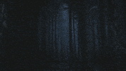 Halloween Forest GIF