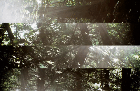 Errortonin giphygifmaker art music missouri GIF