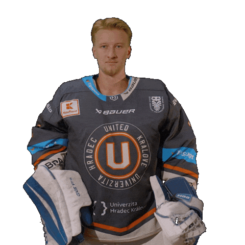 Uhk Sticker by UNIted HK