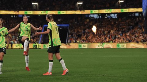 Emily Van Egmond Celebration GIF by Football Australia