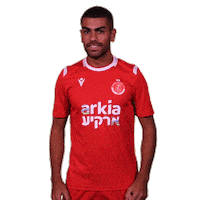 Hta Yallahapoel Sticker by Hapoel TelAviv FC