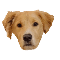 Shepherd Sticker by DopeDog