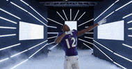 Dance Reaction GIF by Baltimore Ravens