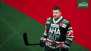 Hockey Del GIF by Augsburger Panther Eishockey GmbH