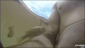 animals being jerks nipple GIF