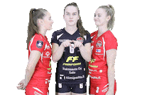 LP_Viesti lp viesti mestaruusliiga veda mansikkaviita milja piesanen Sticker