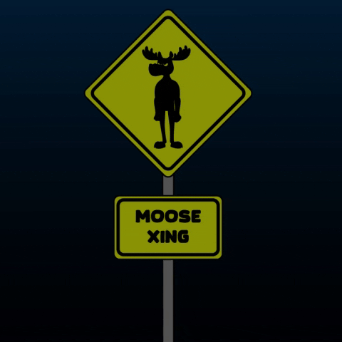 DoYouMoose giphyupload walk web3 moose GIF