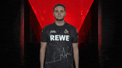 Sk Gaming No GIF by Bundesliga