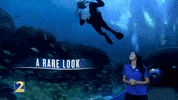 Channel 2 News GIF by WSBTV