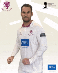 Celebration GIF by Somerset County Cricket Club