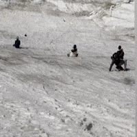 travelserieskunal travelserieskunal fallfunny GIF