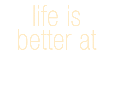 Travel Life Sticker by weggisvitznau