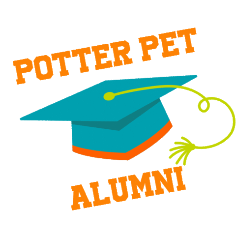 potterleague giphyupload potter league potterleague adoptpl Sticker