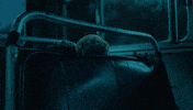 Excited Mona Singh GIF by MaddockFilms