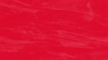 nycDSA solidarity socialism nycdsa nyc dsa GIF