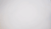chinese food zhong guo cai GIF