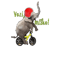 Ifeelslovenia Sticker by DRUSTVO-DNS