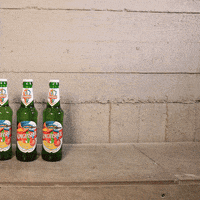 GIF by KingfisherWorld