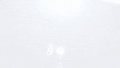 Lucha Libre Wwe GIF by Guerrero Maya