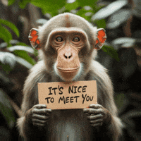 Monkey Clubhouse GIF by Gallery.fm