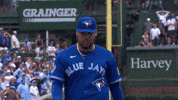 Blue Jays Baseball GIF by Toronto Blue Jays