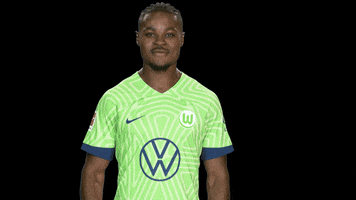 Bundesliga Hello GIF by VfL Wolfsburg