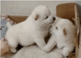 love GIF