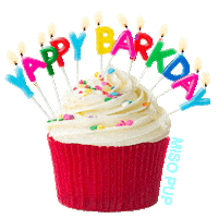 happy birthday dog Sticker by MISO PUP