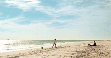 freeheld GIF