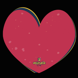 animalepetshop dog amor pet cachorro GIF