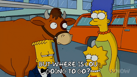 Lisa Simpson GIF by The Simpsons