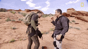 Joel Mchale GIF by National Geographic Channel