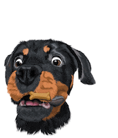 Dog Wow Sticker
