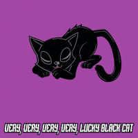 Black Cat GIF by VeeFriends