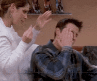 Season 9 Eyebrows GIF by Friends