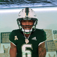Ncaa Football GIF by USF Athletics