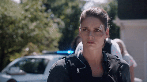 fbi fbifam GIF by CBS