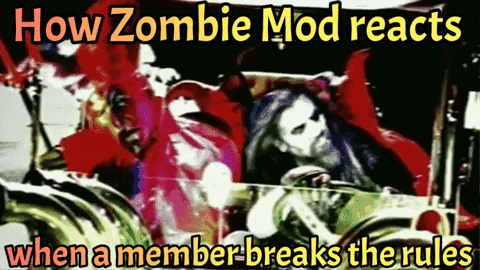 csts1 giphygifmaker GIF