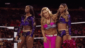 wwe divas wrestling GIF by WWE