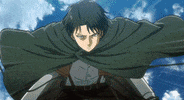 Levi GIF