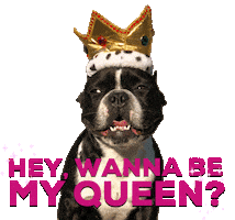 French Bulldog Love Sticker by Oscar The Frenchie