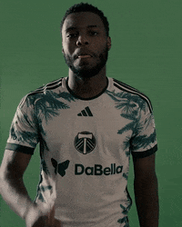 Celebration No GIF by Timbers