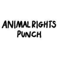 Logo Text Sticker