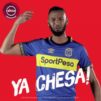 south african soccer GIF