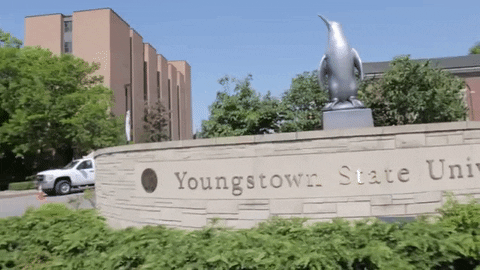 big cat pft GIF by Barstool Sports