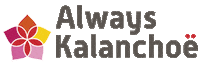 Sticker by Always Kalanchoe