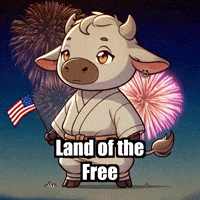 Land Of The Free Usa GIF by Masterfurdinand