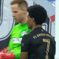Bundesliga Muller GIF by FC Bayern Munich